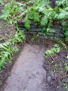 The stage, under a deep layer of organic matter.