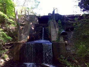 Broomall's Dam 4-24-2010