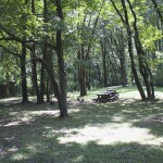 A lovely shaded picnic spot!