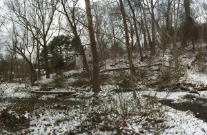 Probable Shingle Mill location in Glen Providence Park - January 2015