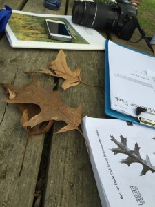 Keys to tree mapping -- tree ID guides, smart phones, and measuring tape. 