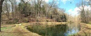 Early Spring pond panorama in 2016